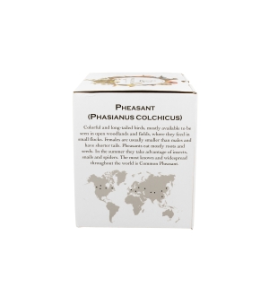 Kubek 400 ml Ptasi Świat BAŻANT