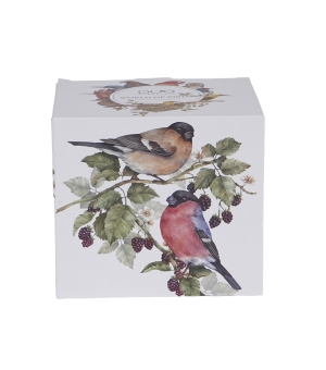 Kubek 650 ml Ptasi Świat GILE