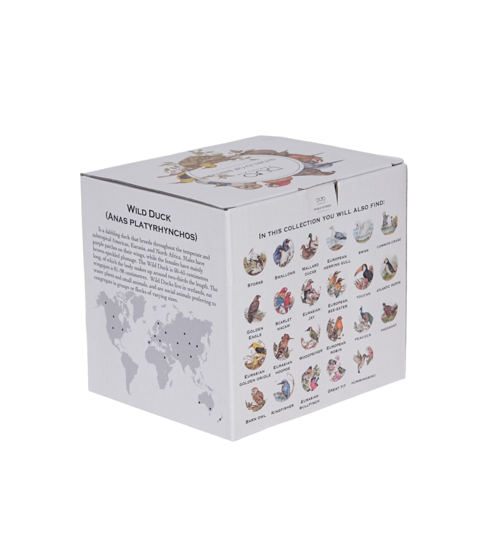 Kubek 650 ml Ptasi Świat KACZKI